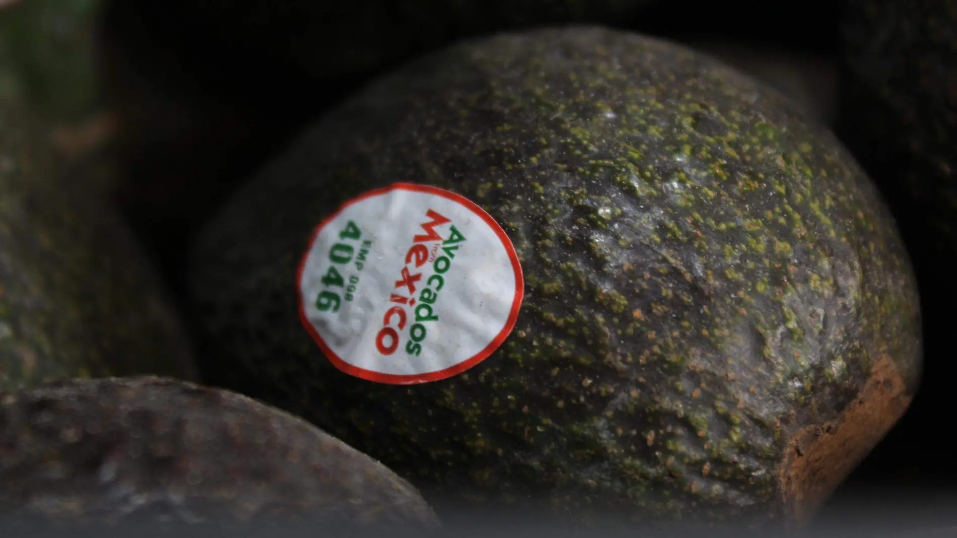 Precio del aguacate alcanza su máximo histórico en Puebla